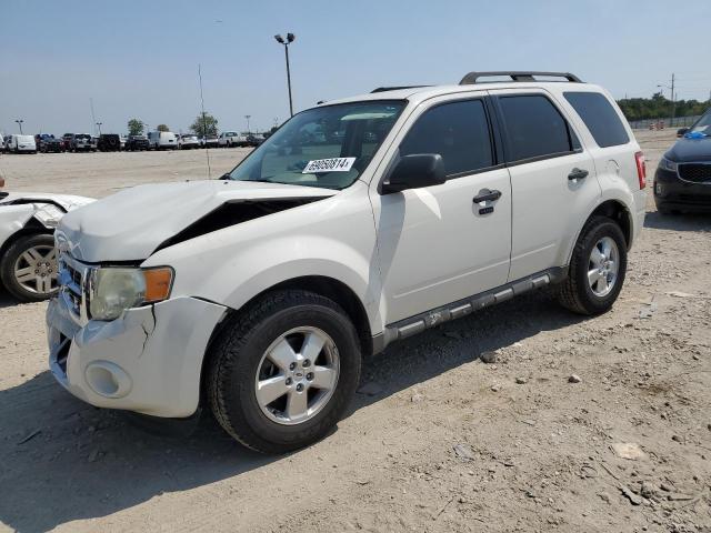 FORD ESCAPE XLT 2009 1fmcu93gx9kb54405