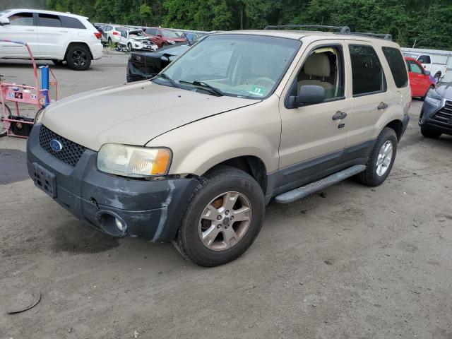 FORD ESCAPE XLT 2007 1fmcu93z97ka99444