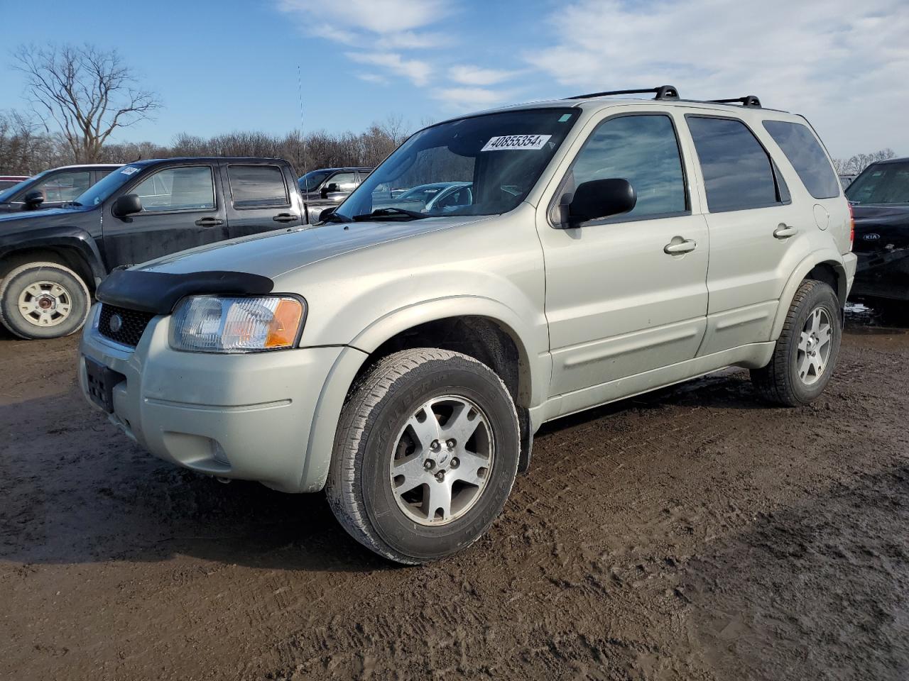 FORD ESCAPE 2004 1fmcu94174kb65302