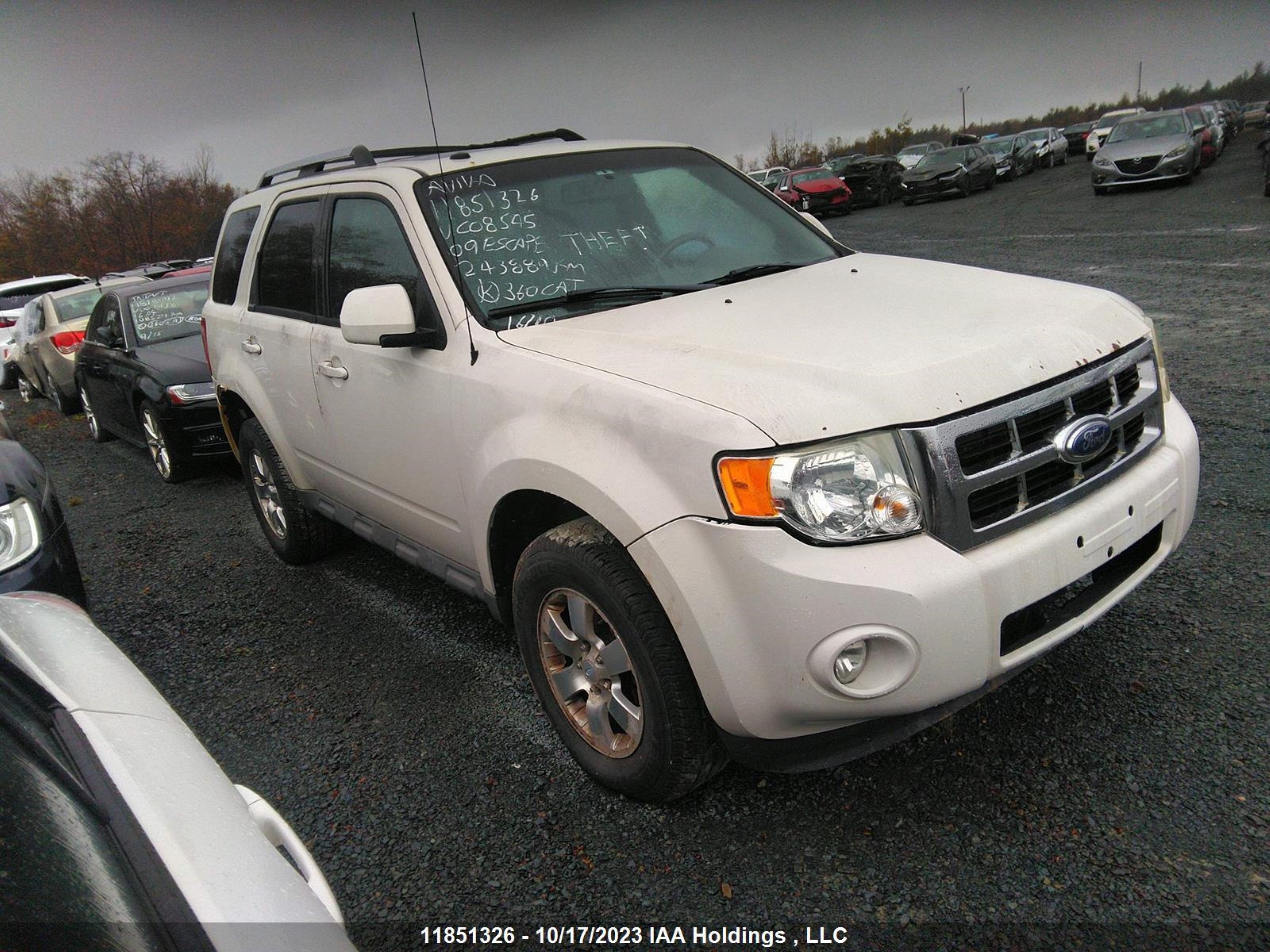 FORD ESCAPE 2009 1fmcu94g39kc08545