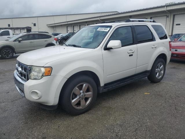 FORD ESCAPE 2009 1fmcu94g69kd07649