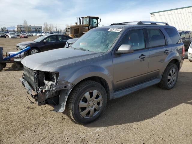 FORD ESCAPE LIM 2009 1fmcu94g99kb76720