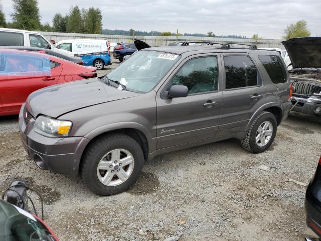 FORD ESCAPE HEV 2006 1fmcu95h26ka20490