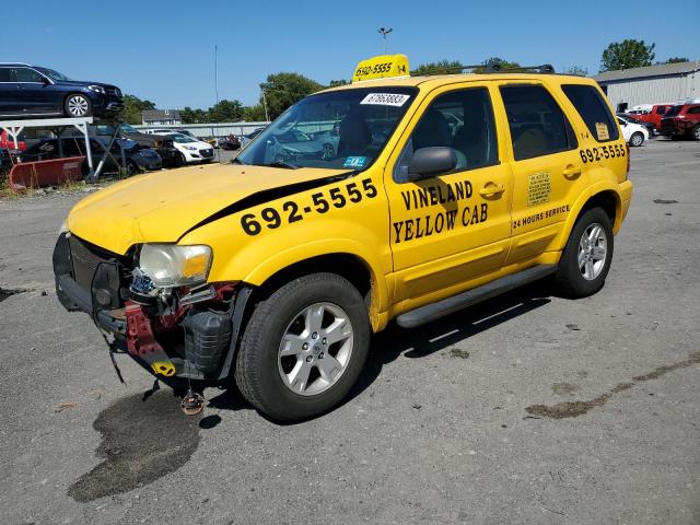 FORD ESCAPE HEV 2006 1fmcu95h46kb49329