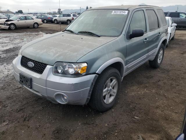 FORD ESCAPE 2006 1fmcu95h66kb01332