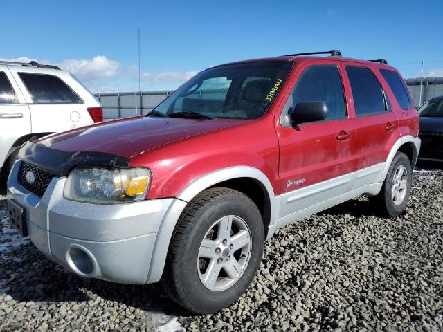 FORD ESCAPE 2006 1fmcu95h86kc28003