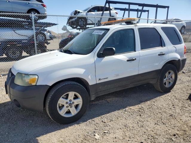 FORD ESCAPE 2006 1fmcu95hx6kc36054