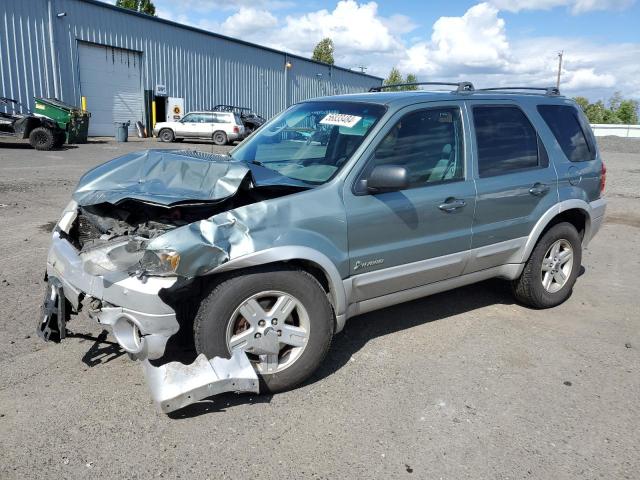 FORD ESCAPE 2006 1fmcu96h36kc96000