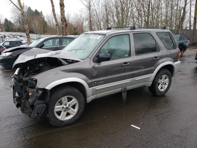 FORD ESCAPE 2006 1fmcu96h56ka52722