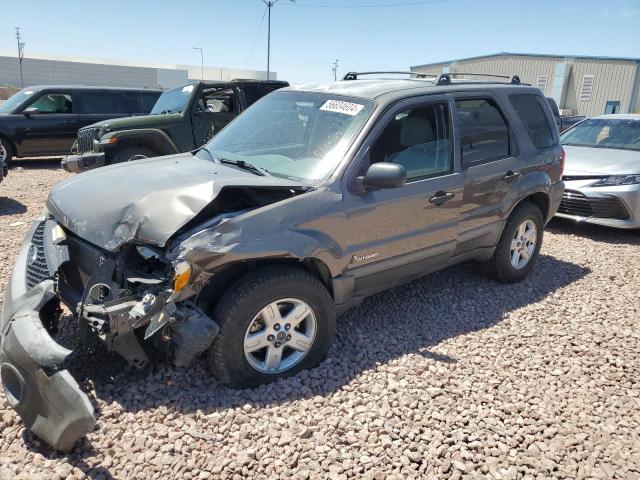 FORD ESCAPE 2005 1fmcu96h75kc46165