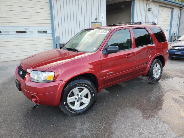 FORD ESCAPE HEV 2006 1fmcu96h86kb68254