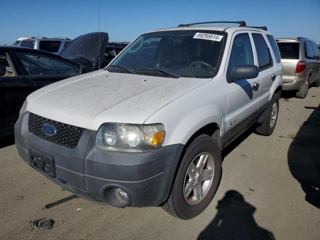 FORD ESCAPE 2005 1fmcu96hx5kb87225