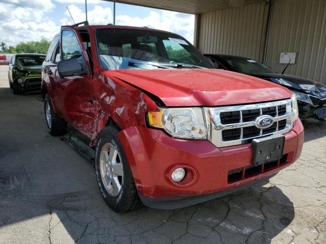 FORD ESCAPE XLT 2011 1fmcu9d70bka75927