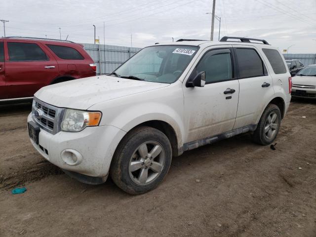 FORD ESCAPE XLT 2011 1fmcu9d70bkb10613