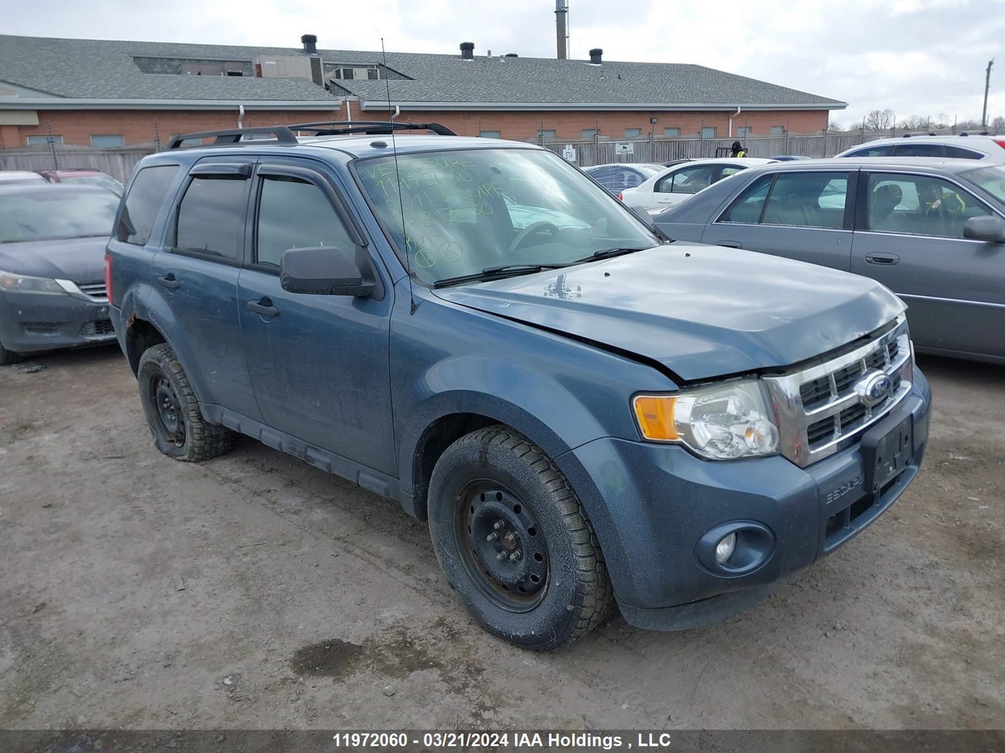 FORD ESCAPE 2011 1fmcu9d70bkb17030