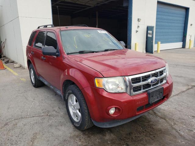 FORD ESCAPE XLT 2011 1fmcu9d70bkb29310