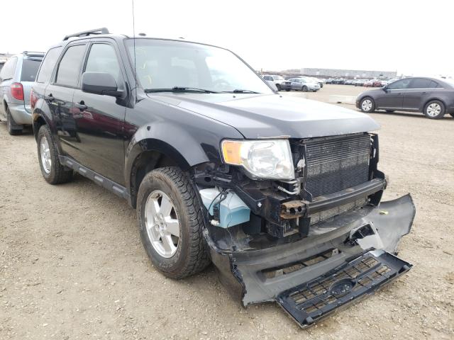 FORD ESCAPE XLT 2011 1fmcu9d70bkb30599