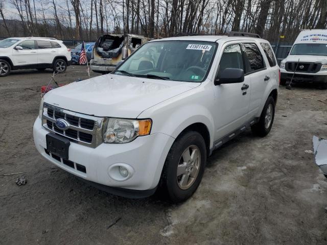 FORD ESCAPE XLT 2011 1fmcu9d70bkc11540