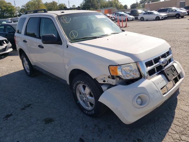 FORD ESCAPE XLT 2011 1fmcu9d70bkc12557