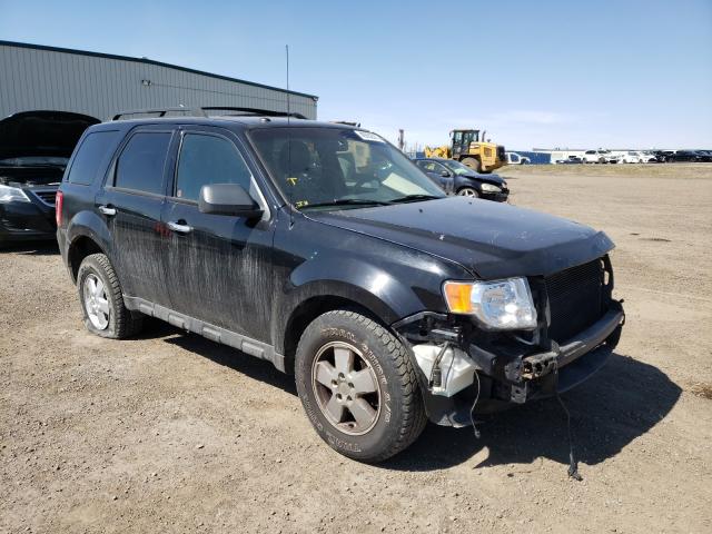 FORD ESCAPE XLT 2010 1fmcu9d71akc55965