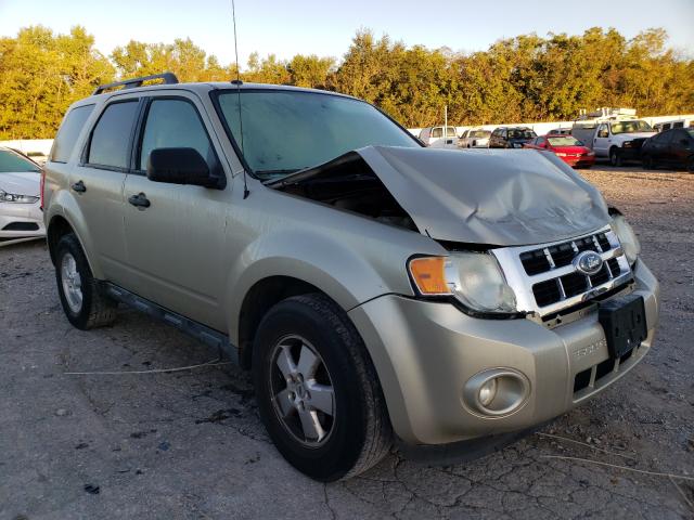 FORD ESCAPE XLT 2010 1fmcu9d71akc59529