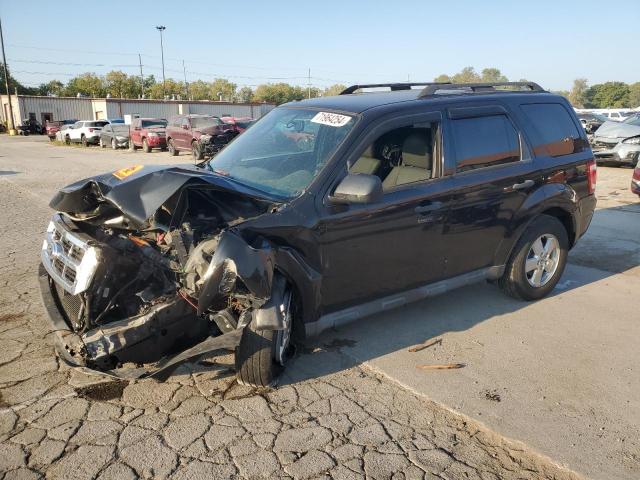 FORD ESCAPE XLT 2011 1fmcu9d71bka36411