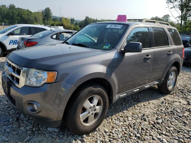 FORD ESCAPE XLT 2011 1fmcu9d71bka77864