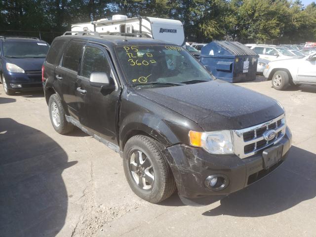 FORD ESCAPE XLT 2011 1fmcu9d71bkb44298