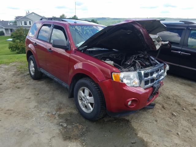 FORD ESCAPE XLT 2010 1fmcu9d72akb43708