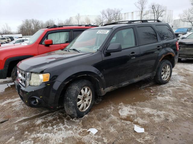 FORD ESCAPE XLT 2011 1fmcu9d72bka03398