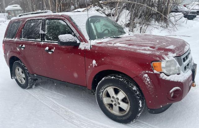 FORD ESCAPE XLT 2011 1fmcu9d72bka33775