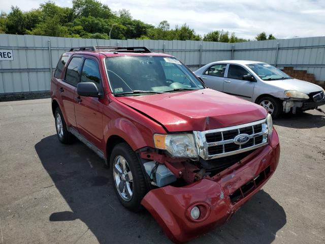 FORD ESCAPE XLT 2011 1fmcu9d72bka65433