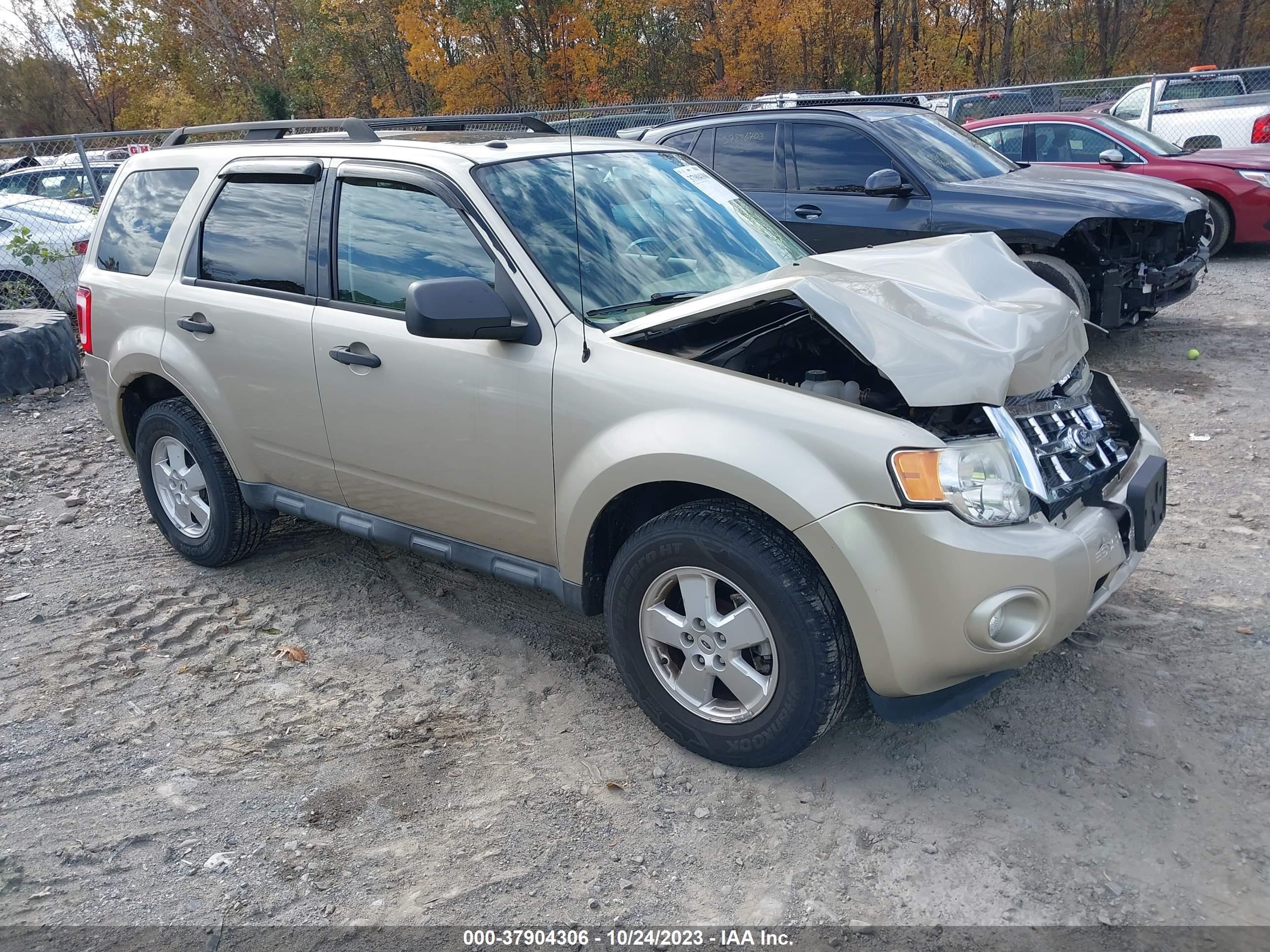 FORD ESCAPE 2011 1fmcu9d72bkb38767