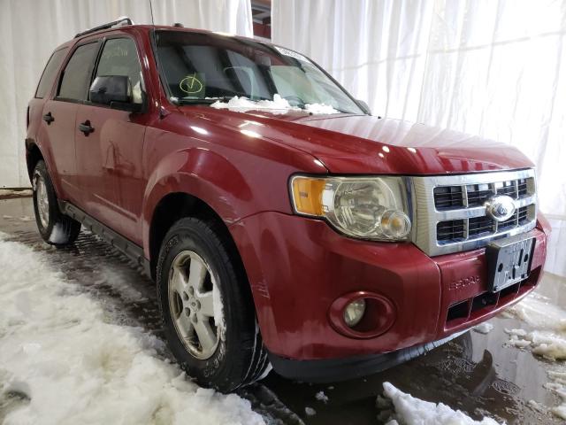 FORD ESCAPE XLT 2011 1fmcu9d72bkb65757