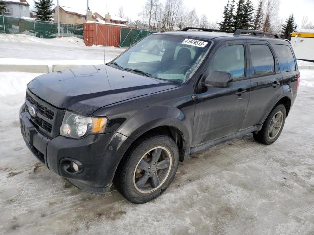 FORD ESCAPE XLT 2011 1fmcu9d72bkb87872