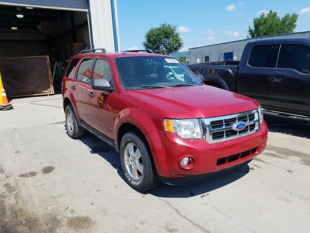 FORD ESCAPE XLT 2011 1fmcu9d72bkc05495