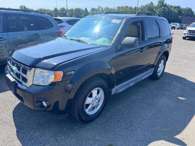 FORD ESCAPE XLT 2010 1fmcu9d73akc31182