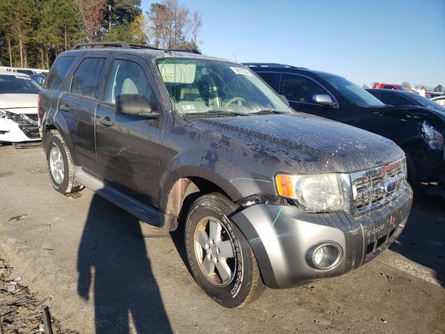 FORD ESCAPE XLT 2010 1fmcu9d73akc93648