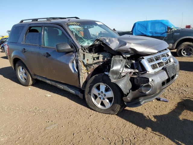 FORD ESCAPE XLT 2011 1fmcu9d73bka55879