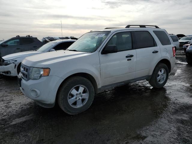 FORD ESCAPE XLT 2011 1fmcu9d73bkb46263