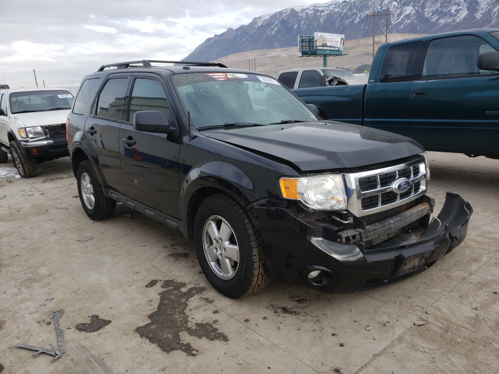 FORD ESCAPE XLT 2011 1fmcu9d73bkb66514