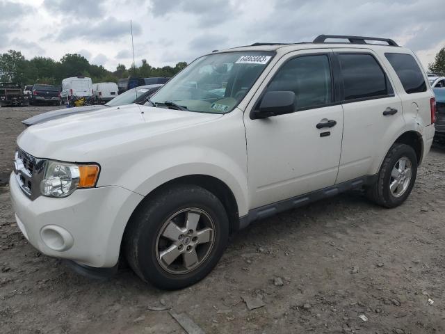 FORD ESCAPE XLT 2011 1fmcu9d73bkc47500