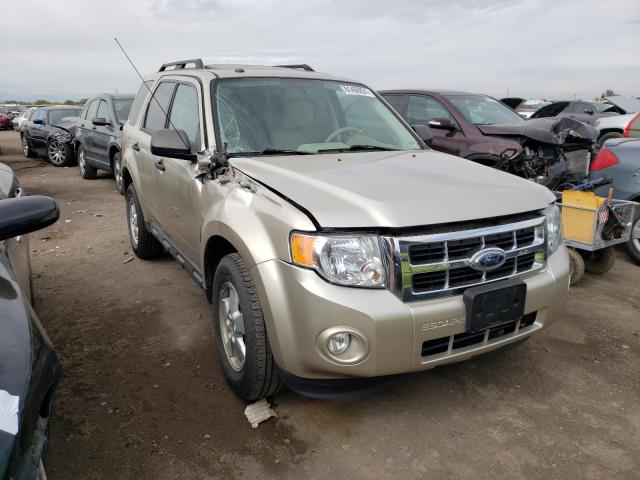 FORD ESCAPE XLT 2010 1fmcu9d74akd11252