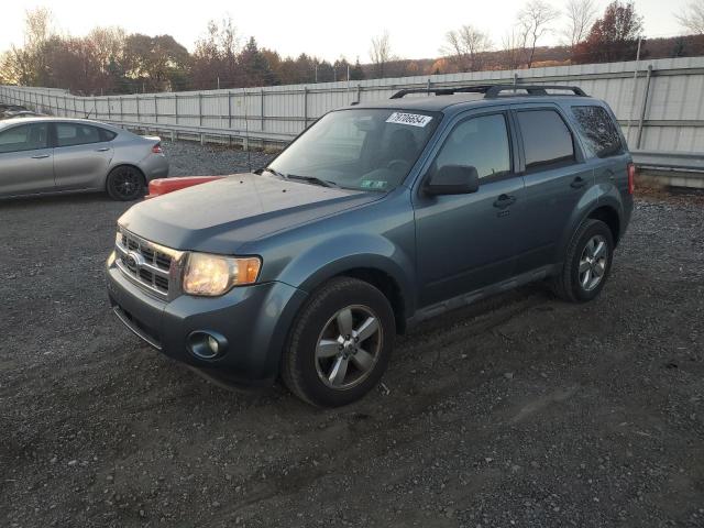 FORD ESCAPE XLT 2010 1fmcu9d74akd30562