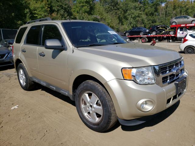 FORD ESCAPE XLT 2011 1fmcu9d74bka65644