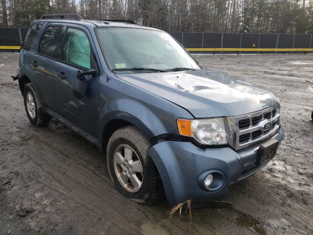 FORD ESCAPE XLT 2011 1fmcu9d74bka75879