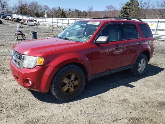 FORD ESCAPE XLT 2011 1fmcu9d74bkb09433