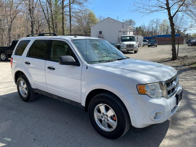 FORD ESCAPE XLT 2011 1fmcu9d74bkb75092