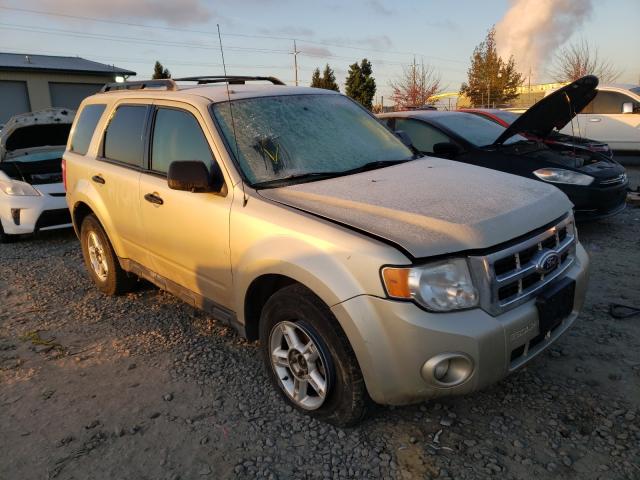 FORD ESCAPE XLT 2010 1fmcu9d75akd46740