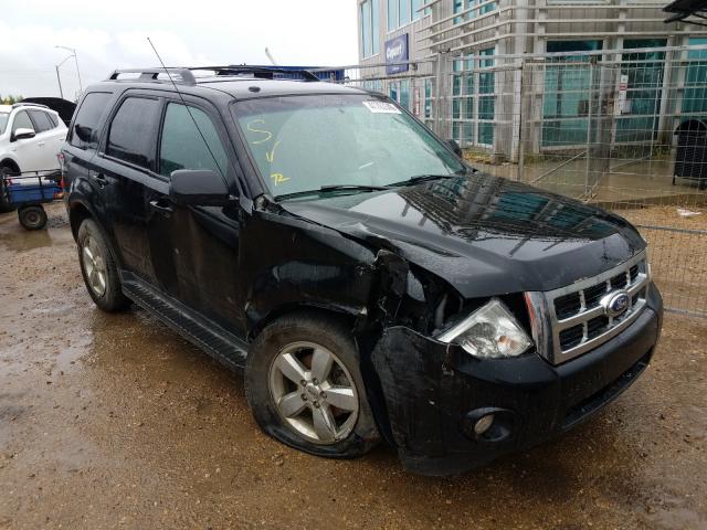 FORD ESCAPE XLT 2011 1fmcu9d75bkc45666